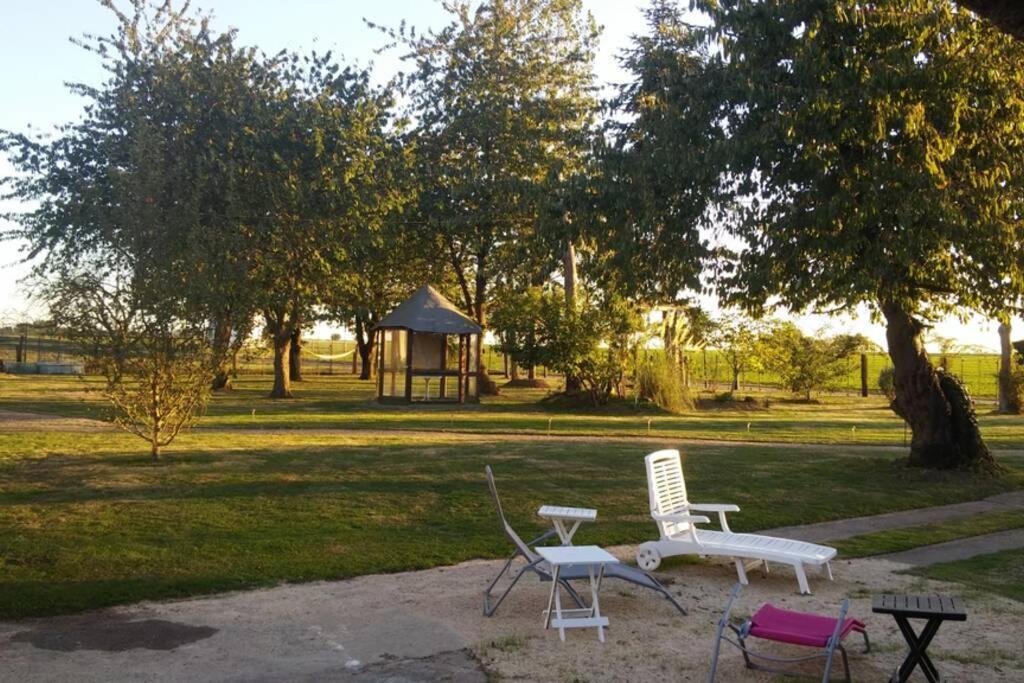 Chaumiere Du Chateau D'O Et Sa Mini Ferme ,Gite 21Couchages Goupil-Othon Exterior foto