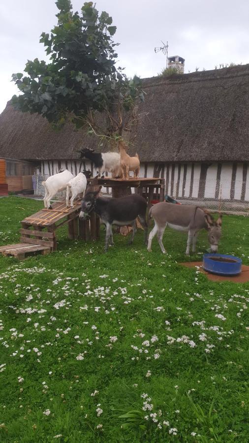 Chaumiere Du Chateau D'O Et Sa Mini Ferme ,Gite 21Couchages Goupil-Othon Exterior foto